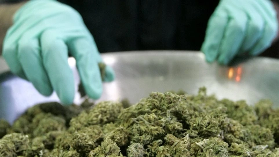 Σε εταιρεία από το Ισραήλ η πρώτη άδεια για καλλιέργεια φαρμακευτικής κάνναβης στην Ελλάδα